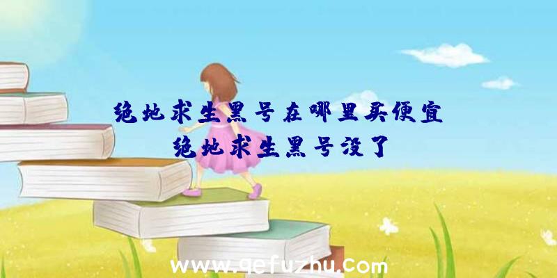 「绝地求生黑号在哪里买便宜」|绝地求生黑号没了
